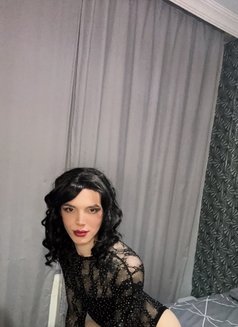 Mila 12 - Acompañantes transexual in İstanbul Photo 5 of 5