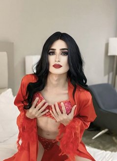 Mila - Transsexual escort in Doha Photo 7 of 7