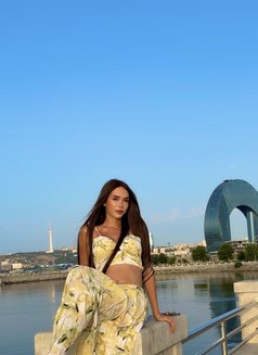 Mila Ladyboy - Transsexual escort in Baku Photo 26 of 26