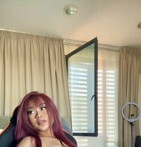 Mila New in Phuket Just Arrived - escort in Phuket
