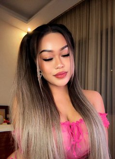 Mila New in Phuket Just Arrived - escort in Phuket Photo 15 of 17