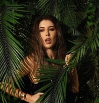 Nika - puta in Koh Phangan Photo 5 of 6