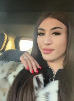 Dina TOP From Turkey - Acompañantes transexual in Doha Photo 5 of 8