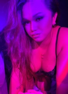 Milan Fox - Acompañantes transexual in Bangkok Photo 2 of 2