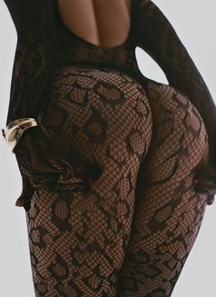 Milana Russian / Anal Sex - escort in Doha Photo 8 of 30