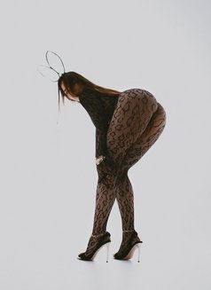 Milana Russian / Anal Sex - escort in Doha Photo 20 of 30