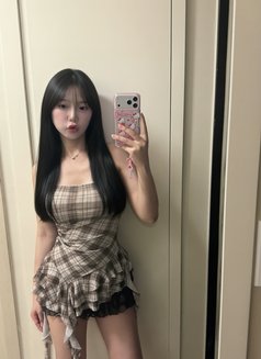 Milddy - Transsexual escort in Pyeongtaek Photo 2 of 13