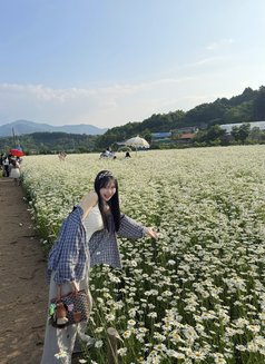Milddy - Transsexual escort in Pyeongtaek Photo 9 of 13