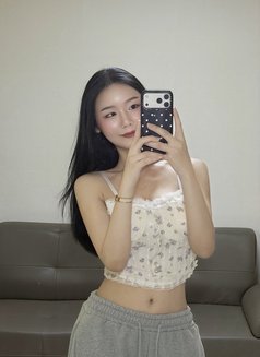Milddy - Transsexual escort in Pyeongtaek Photo 12 of 13