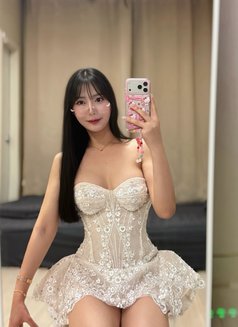 Milddy - Transsexual escort in Pyeongtaek Photo 13 of 13