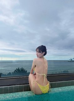 Milddy - Acompañantes transexual in Pyeongtaek Photo 15 of 16