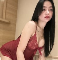 Milea - Transsexual escort in Kuala Lumpur
