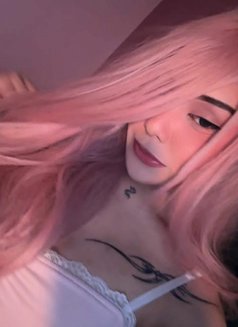 Mileena ( GFE ) - Transsexual escort in Manila Photo 8 of 10