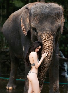 Miley - puta in Phuket Photo 10 of 14