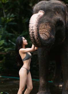 Miley - puta in Phuket Photo 11 of 14