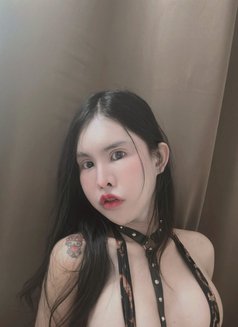 Milinsirinnapa - Transsexual escort in Taipei Photo 17 of 22