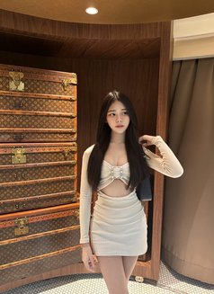 Milita in dubai - escort in Dubai Photo 12 of 14