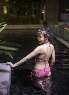 Milking Table Girls of Thailand Bkk - escort in Bangkok Photo 15 of 27