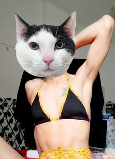 Milky - Male escort in Bangkok Photo 3 of 6