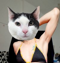 Milky - Male escort in Bangkok