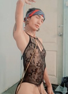 Milky - Acompañantes masculino in Bangkok Photo 5 of 5