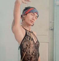 Milky - Male escort in Bangkok