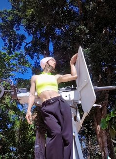 Milky - Male escort in Phuket Photo 1 of 6