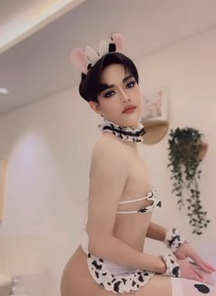 Milky popper69 🇹🇭#both - Transsexual escort in Riyadh Photo 10 of 10