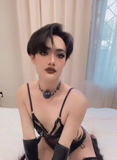 🇹🇭Milky popper69 - Transsexual escort in Riyadh Photo 7 of 8