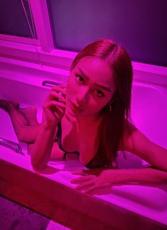 Milky - Transsexual escort in Bangkok Photo 5 of 10