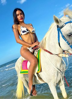 Milky - Acompañantes transexual in Bangkok Photo 15 of 18