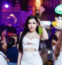 Milky - Transsexual escort in Bangkok