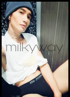 milkyway - Transsexual escort in Phuket Photo 6 of 6