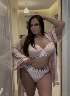 Milla chubby ladyboy new number ‍ - Acompañantes transexual in Dammam Photo 30 of 30