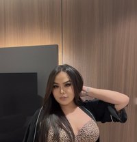 Milla chubby ladyboy new number ‍ - Transsexual escort in Jeddah