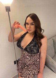 Milla new chubby ladyboy both 69‍ - Acompañantes transexual in Riyadh Photo 12 of 12