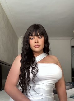 Milla chubby ladyboy both 69‍ - Transsexual escort in Riyadh Photo 13 of 14