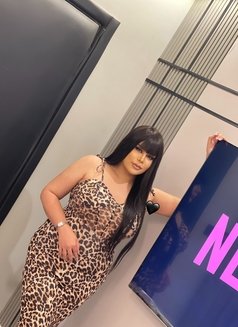 Milla New ladyboy 69🇹🇭 - Transsexual escort in Riyadh Photo 2 of 14