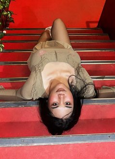 Millie Available only 5 days - escort in Okinawa Island Photo 13 of 15