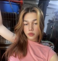 Millie’s Content - Acompañantes transexual in Manila