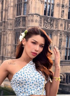 Millie TS Model From Thai - Transsexual escort in London Photo 6 of 6