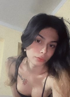 Milly - Transsexual escort in New Delhi Photo 3 of 4