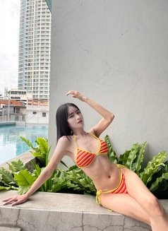 Milly - Transsexual escort in Kaohsiung Photo 16 of 16