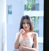 Milly - Transsexual escort in Hong Kong