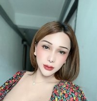 Mimee69 - Transsexual escort in Bangkok Photo 1 of 15