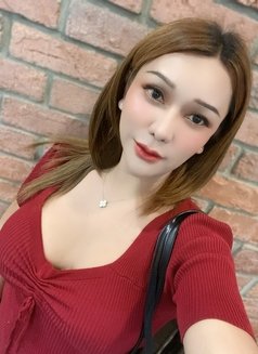 Mimee69 - Transsexual escort in Bangkok Photo 2 of 15