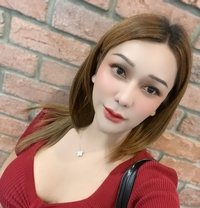 Mimee69 - Transsexual escort in Bangkok