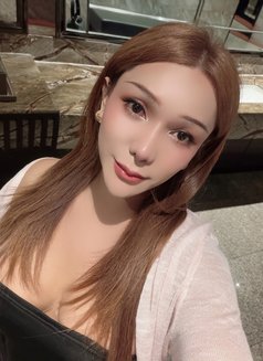 Mimee69 - Transsexual escort in Bangkok Photo 24 of 24