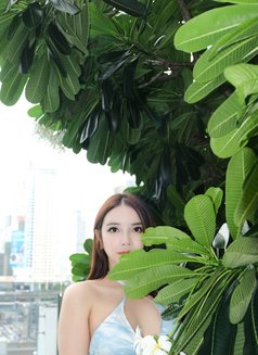 Mimi - puta in Bangkok Photo 5 of 6