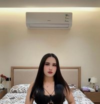 Mimi Lady Boy - Transsexual escort in Khobar